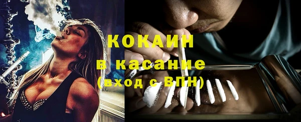 прущие грибы Абдулино