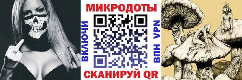 Галлюциногенные грибы GOLDEN TEACHER  Болотное 